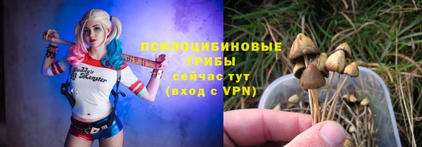 МДМА Инсар