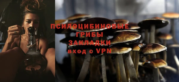МДМА Инсар