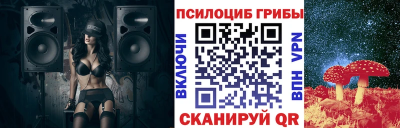 Купить  Урай  Псилоцибиновые грибы мицелий 